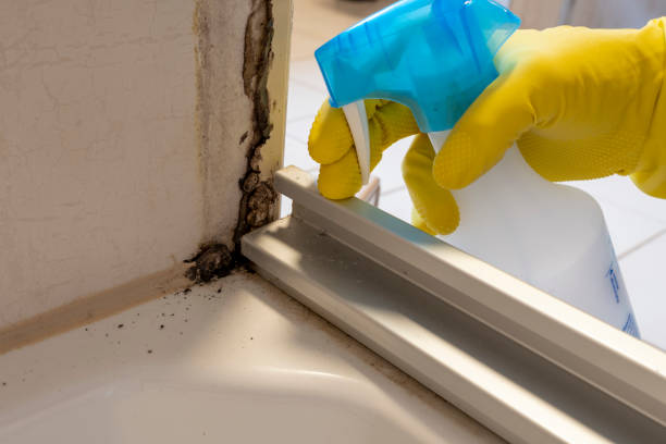 Best Crawl Space Mold Removal  in Sea Isle City, NJ