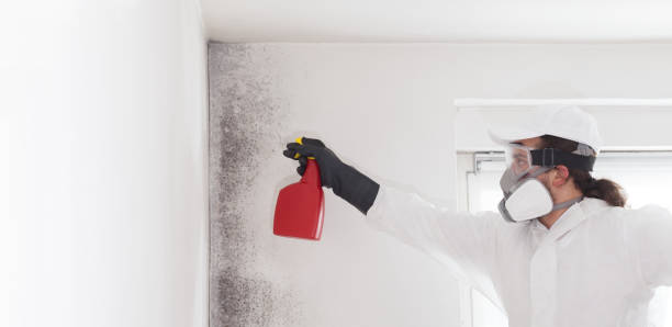 Best Fast Mold Removal  in Sea Isle City, NJ