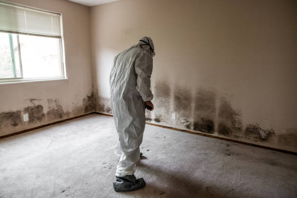 Crawl Space Mold Removal in Sea Isle City, NJ