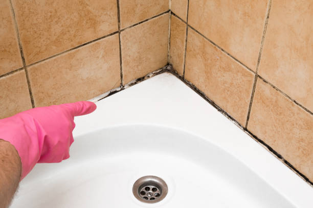 Best Commercial Mold Removal  in Sea Isle City, NJ